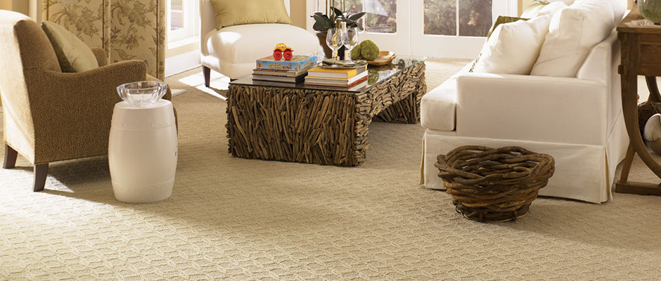 naperville-carpet-cleaning-3